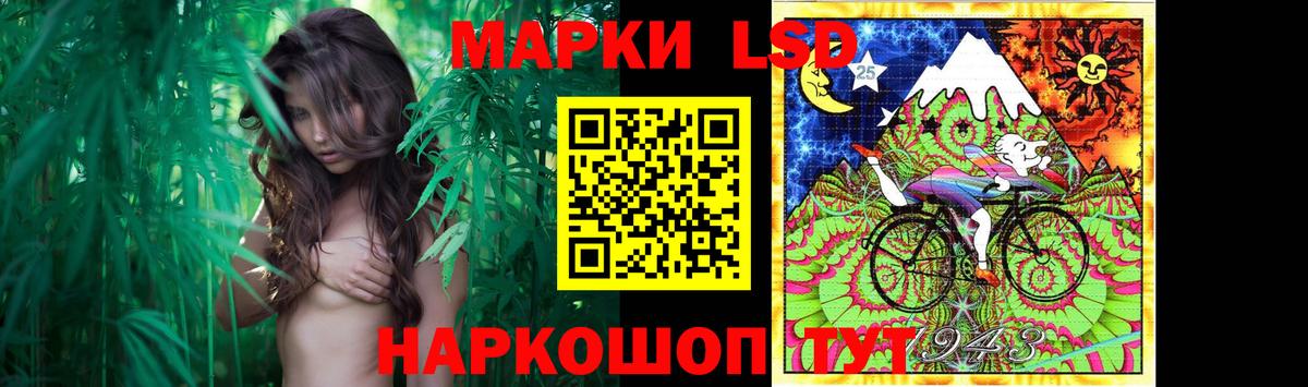 LSD-25 экстази кислота  Вход с VPN  Осинники 
