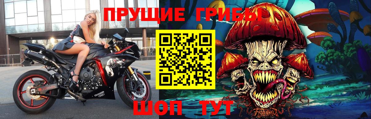 Галлюциногенные грибы прущие грибы Осинники